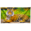 Full Color Dye Sublimated Beach Towel